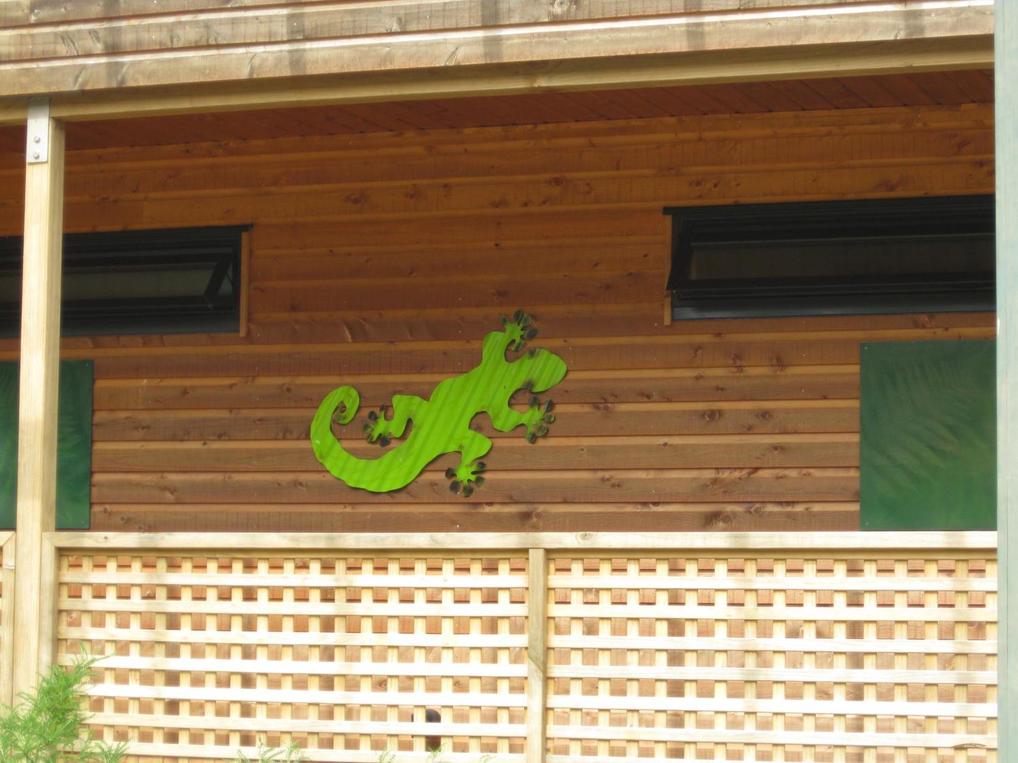 Twin Waters Lodge コリングウッド エクステリア 写真